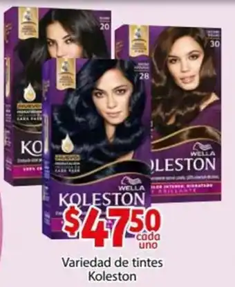 Variedad de Tintes Koleston