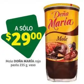 Mole Doña María Rojo Pasta 235g