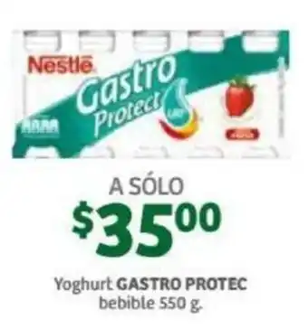 Yoghurt Gastro Protec Bebible 550g