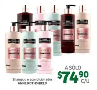 Soriana Mercado Shampoo o Acondicionador Anne Rothshield oferta