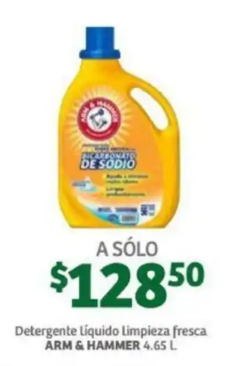 Detergente Líquido Limpieza Fresca Arm & Hammer 4.65L
