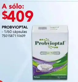 City Club Probvioptal oferta