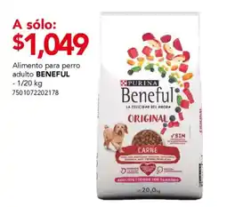 City Club Beneful alimento para perro adulto oferta