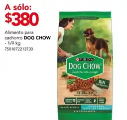 City Club Dog Chow alimento para cachorro oferta