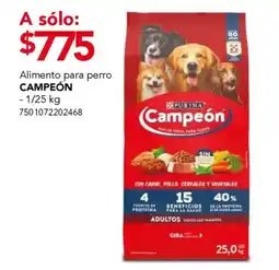 City Club Campeón alimento para perro oferta