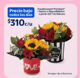 Walmart Aquabouquet Premium oferta