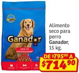 Soriana Híper Ganador Alimento seco para perro oferta