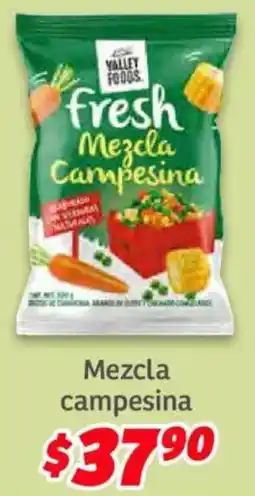 Soriana Híper Valley foods mezcla campesina oferta