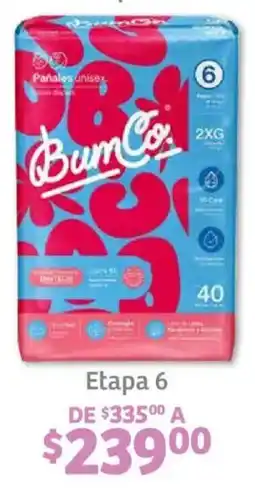 Soriana Híper Bum co. pañales oferta