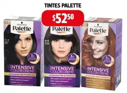 Farmacias Guadalajara Palette tintes oferta