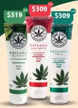 Farmacias Similares CBD Life Balsamo oferta