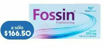 Farmacia San Pablo Fossin 500mg 6 cápsulas. oferta