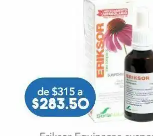 Farmacia San Pablo Eriksor equinacea suspensión 9.80g 50ml. oferta