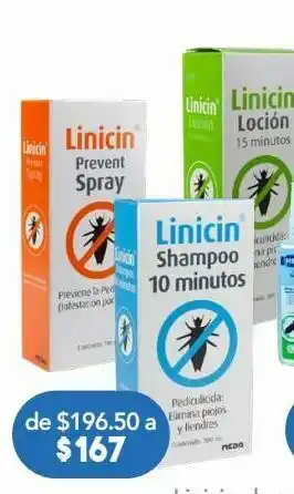 Farmacia San Pablo Linicin shampoo 100ml. oferta