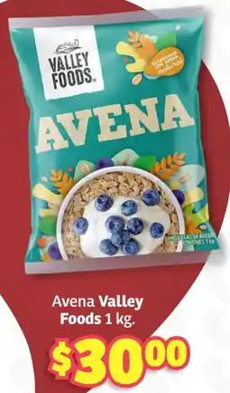 Soriana Híper Valley foods avena oferta