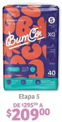 Soriana Híper Bum co. pañales etapa 5 oferta
