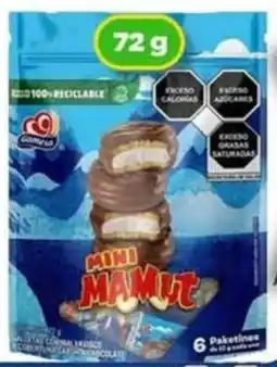Bodega Aurrerá Mini mamut oferta
