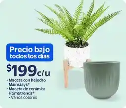 Walmart Mainstays maceta con helecho oferta