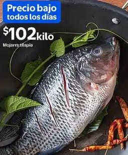 Walmart Mojarra tilapia oferta