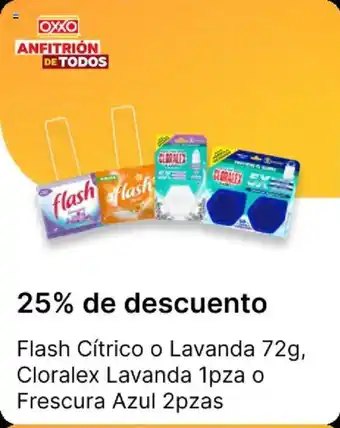 Flash Cítrico o Lavanda, Cloralex Lavanda o Frescura Azul