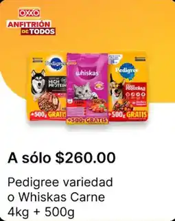 OXXO Pedigree o Whiskas oferta