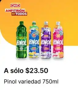 OXXO Pinol oferta
