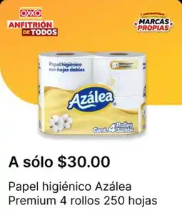 OXXO Azálea premium oferta
