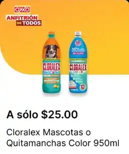 OXXO Cloralex mascotas o quitamanchas color oferta