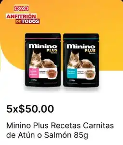 OXXO Minino Plus oferta