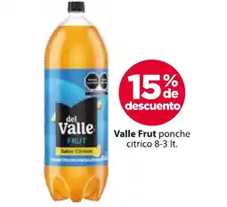 Zorro Del Valle Frut ponche citrico oferta