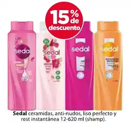 Zorro Sedal shampoo oferta