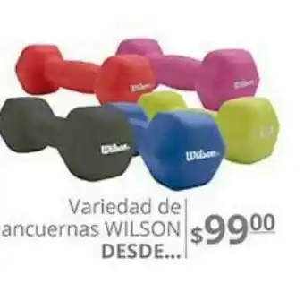 Variedad de mancuernas wilson