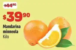 Smart & Final Mandarina minneola oferta