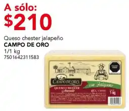 City Club Campo de oro queso chester jalapeño oferta
