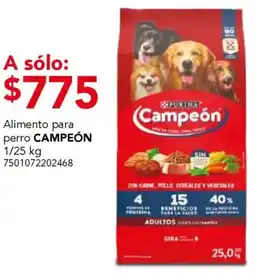 City Club Purina campeón alimento para perro oferta