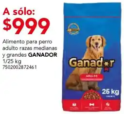 City Club Ganador alimento para perro adulto razas medianas y grandes oferta