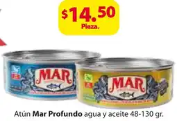 Zorro Mar profundo atún agua y aceite oferta
