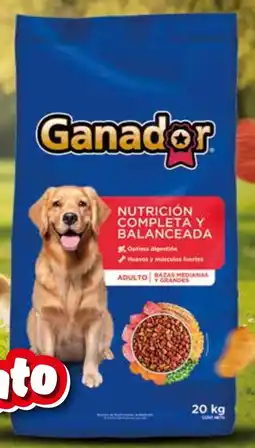 Zorro Ganador alim perro original adulto bulto oferta