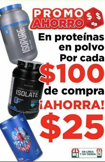 Proteina en polvo