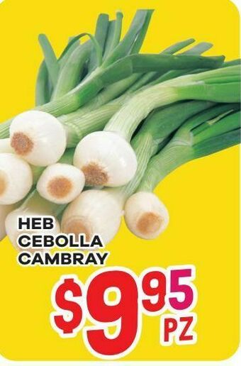 HEB Cebolla oferta