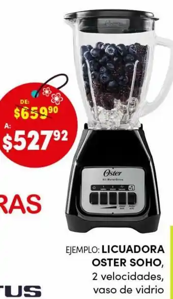 Woolworth Licuadora Oster Soho oferta