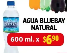 Farmacias Guadalajara Bluebay agua natural oferta
