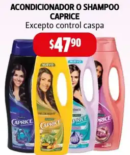 Farmacias Guadalajara Caprice acondicionador o shampoo oferta