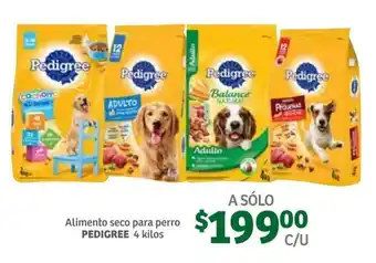 Soriana Súper Alimento Seco para Perro Pedigree 4kg oferta