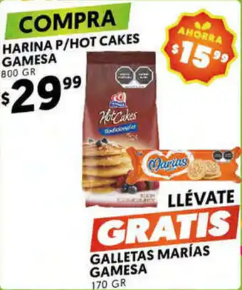Harina P/Hot Cakes Gamesa 800gr