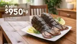 City Club Cola de langosta oferta