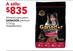 City Club Ganador premium oferta