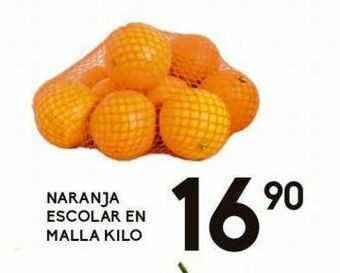 Naranja escolar en malla kg