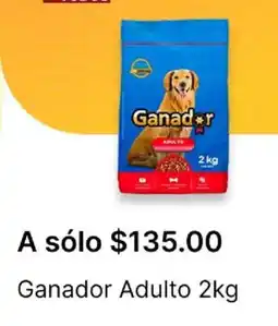 OXXO Ganador adulto oferta
