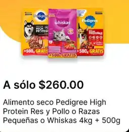 OXXO Pedigree high protein res y pollo o razas pequeñas o whiskas alimento seco oferta
